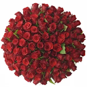 🌹 Rychlá pětka: Vyhraj 100 růží od Florea!