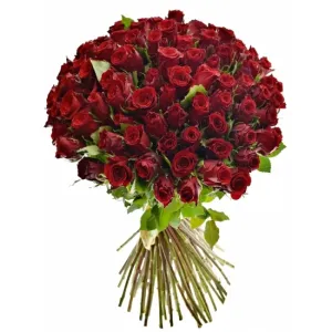 🌹 Rychlá pětka: Vyhraj 100 růží od Florea!