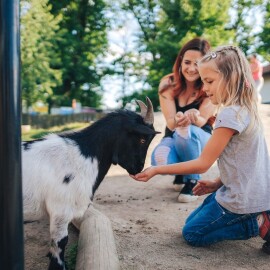 Nejnavštěvovanějším cílem jižních Čech je Zoo Hluboká