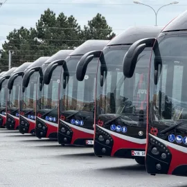 Jak se budou jmenovat nové trolejbusy? Rozhodnout můžete i vy!