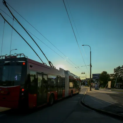 366 návrhů za pár týdnů! O jménech trolejbusů rozhodne hlasování.
