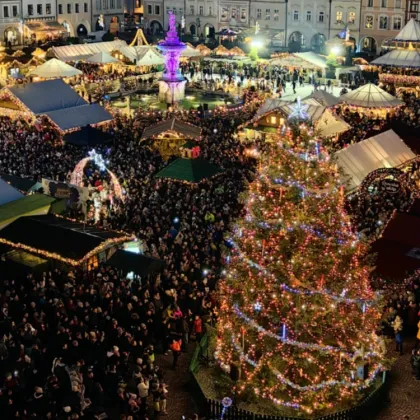 Náměstí ozdobí okrasná jedle ze Starých Hodějovic