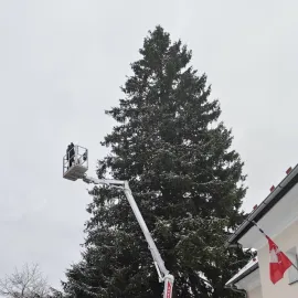 Nejvyšší vánoční strom v Česku? Malá šumavská Lenora si připisuje velký rekord