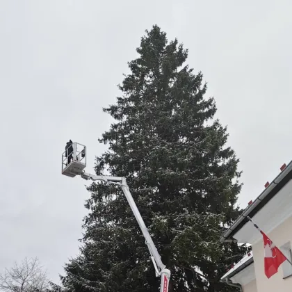 Nejvyšší vánoční strom v Česku? Malá šumavská Lenora si připisuje velký rekord