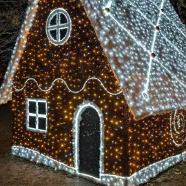 Mladý muž prorazil hlavou perníkovou chaloupku v Budějcích.