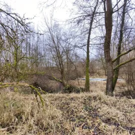 Ve Strakonicích začala revitalizace Staré řeky